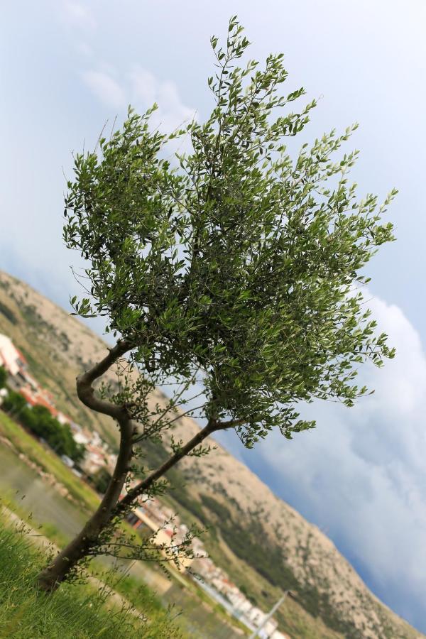 Apartmani Ria2 Pag Pag Town Exteriér fotografie